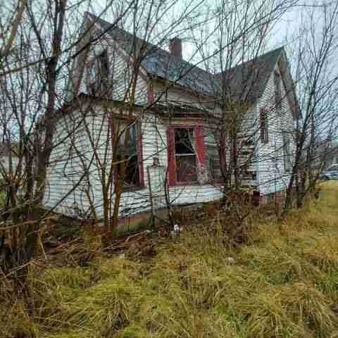 8031 conger (59).jpg